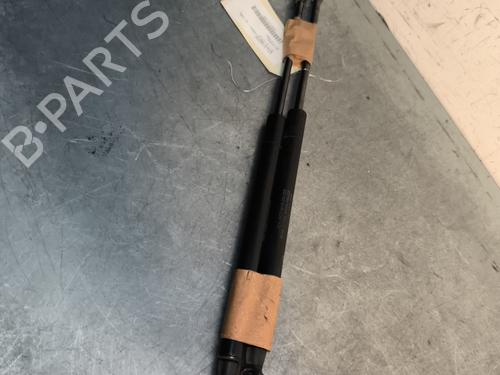 tailgate-lift-support-fiat-panda-312_-319_-2012-29997395 main image