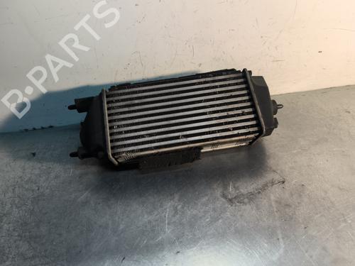 Used Intercooler Intercooler FORD FIESTA VI (CB1, CCN) 1.0 EcoBoost (100 hp) 30491585 30491585