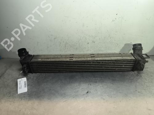 Intercooler RENAULT SCÉNIC III (JZ0/1_) 1.5 dCi | BP29422511M30 