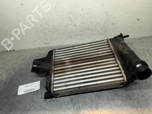 Intercooler DACIA SANDERO II TCe 90 (B8M1, B8MA, B8AC) | BP31257981M30