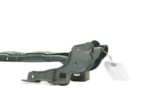 hingedoor-check-strap-citroen-c4-ii-nc_-2009-37502719 main image