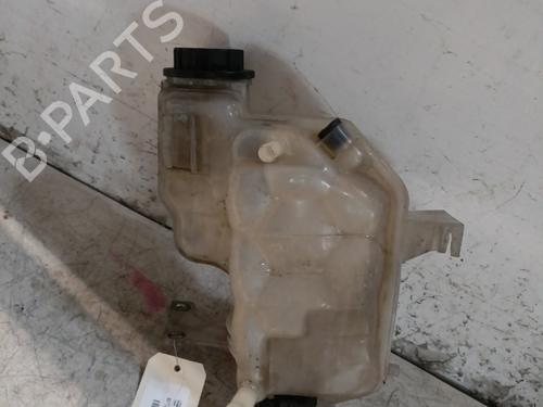 Expansion tank LAND ROVER RANGE ROVER SPORT I (L320) 3.0 D 4x4 | BP29351208C120 