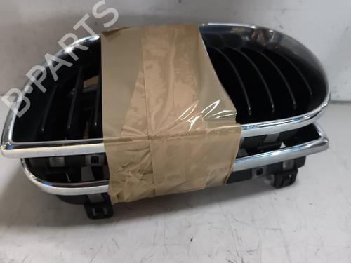 grille-bmw-1-e87-2003-2004-2005-2006-2007-2008-2009-2010-2011-2012-2013-24236394 main image