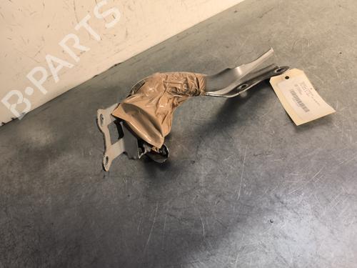 Hinge/Door check strap PEUGEOT 107 (PM_, PN_) 1.0 | BP29980207C146