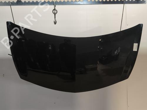 Used Hood RENAULT CLIO III (BR0/1, CR0/1) 1.2 16V Hi-Flex (BR1U, CR1U) (75 hp) 29733636
