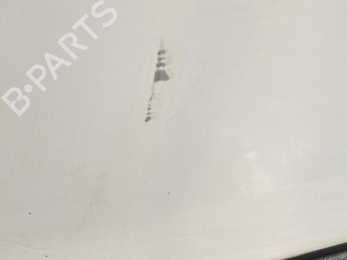 Left front door RENAULT KANGOO Express (FC0/1_) 1.5 dCi (FC1E) | BP21697089C2 