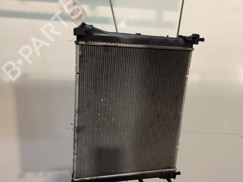 Køler FIAT 500 (312_) 1.3 D Multijet (312AXB1A) (75 hp) 30087987