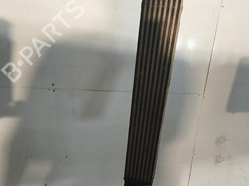 intercooler-renault-megane-iii-coupe-dz01_-2008-2009-2010-2011-2012-2013-2014-2015-2016-36014842 main image
