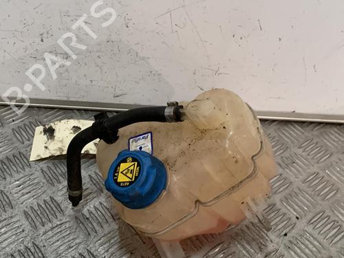 Expansion tank FIAT PANDA (312_, 319_) 1.3 D Multijet 4x4 (312PXL1A) | BP21706989C120 