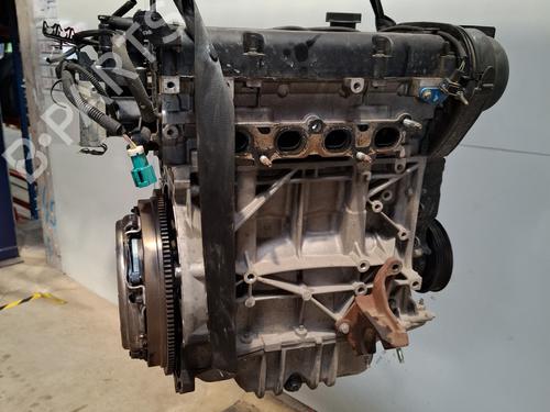 Motor FORD FIESTA VI (CB1, CCN) 1.25 (82 hp) 29732875