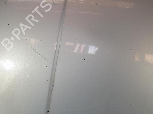 Used Hood VW GOLF IV (1J1) 1.9 TDI (115 hp) 21712343