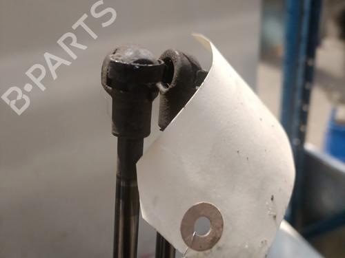 Tailgate lift support NISSAN QASHQAI / QASHQAI +2 I (J10, NJ10, JJ10E) 1.5 dCi | BP22691606C138 