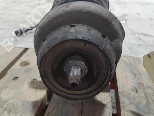 left-front-shock-absorber-dacia-sandero-15-dci-543020103r-2008-21718649 main image