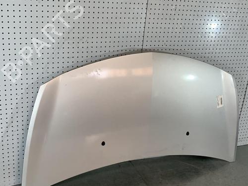 Used Hood RENAULT CLIO III (BR0/1, CR0/1) 1.5 dCi (C/BR0G, C/BR1G) (68 hp) 21695680