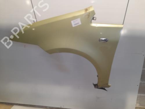 Left front fenders FORD C-MAX (DM2) 1.8 TDCi | BP22316703C41 