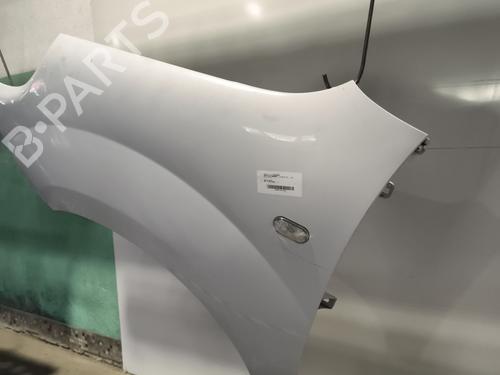 Błotnik przedni lewy RENAULT KANGOO Express (FW0/1_) 1.5 dCi 95 (FW16) | BP29893789C41