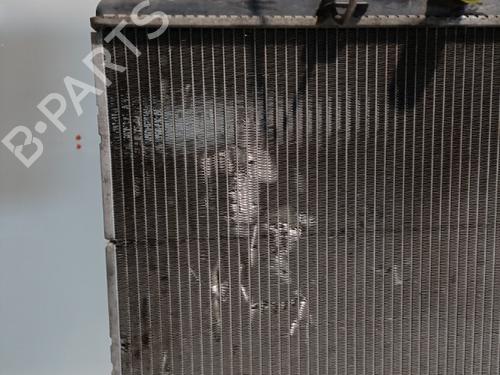 Used Water radiator Water radiator PEUGEOT 207 (WA_, WC_) 1.6 HDi (90 hp) 21704318 21704318