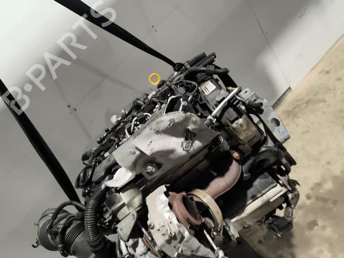 Engine VW GOLF VII (5G1, BQ1, BE1, BE2) 2.0 TDI | BP31884427M1