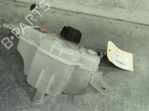 Used Expansion tank RENAULT KADJAR (HA_, HL_) 1.5 BLUE dCi 115 (HLA6) (116 hp) 29732950