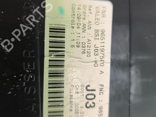 Electronic module PEUGEOT 307 (3A/C) 2.0 HDi 110 | BP29996890M83 