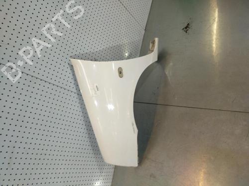 Left front fenders RENAULT CLIO II (BB_, CB_) 1.5 dCi (B/CB07) | BP21708132C41 
