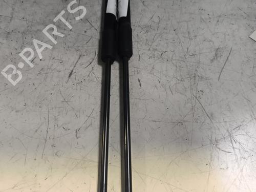 Used Tailgate lift support CITROËN C3 / C3 ORIGIN III (SX) 1.2 VTi 82 (82 hp) 24983329