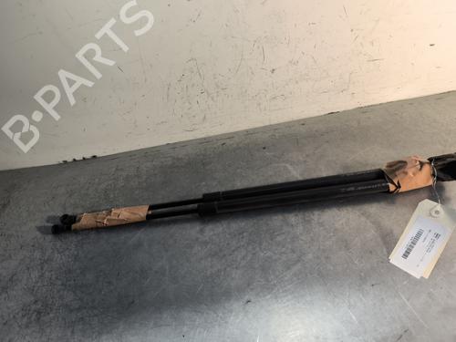 Used Tailgate lift support RENAULT SCÉNIC III (JZ0/1_) 1.6 dCi (JZ00, JZ12) (130 hp) 30491639