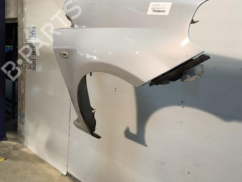 Kotflügel rechts vorne FIAT PUNTO EVO (199_) 1.3 D Multijet (199AXC1A, 199BXC1A, 199AXT1A, 199BXT1A) | BP30552917C42 