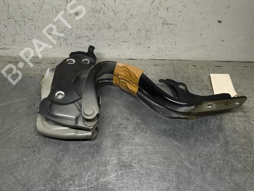 hingedoor-check-strap-fiat-500-312_-2007-32995067 main image