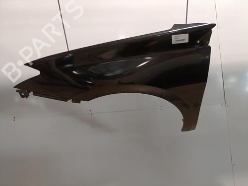 Left front fenders RENAULT LAGUNA III (BT0/1) 1.5 dCi (BT00, BT0A, BT0T, BT1J) | BP29003683C41 