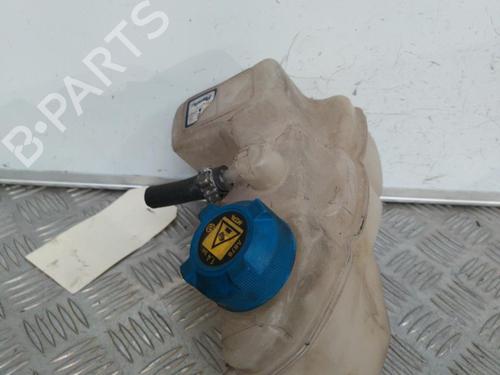 Used Expansion tank FIAT IDEA (350_) 1.3 D Multijet (90 hp) 21715347