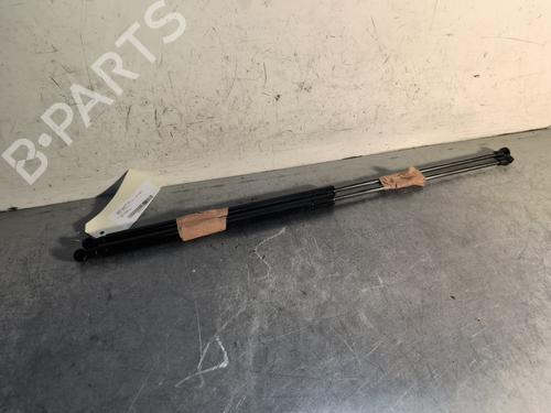 Tailgate lift support NISSAN JUKE (F15) 1.5 dCi | BP29733402C138 