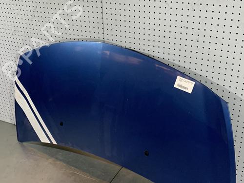 Used Hood RENAULT CLIO III (BR0/1, CR0/1) 1.2 16V (BR02, BR0J, BR11, CR02, CR0J, CR11) (75 hp) 21712488