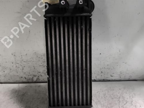 Used Intercooler Intercooler PEUGEOT 3008 I MPV (0U_) 1.6 HDi (114 hp) 25985752 25985752