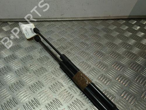 Used Tailgate lift support CITROËN C3 I (FC_, FN_) 1.4 HDi (68 hp) 21722966