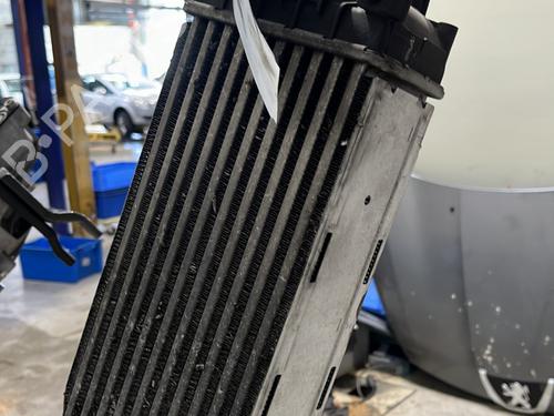 Used Intercooler Intercooler CITROËN C5 III Break (RW_) 2.0 HDi (136 hp) 26893828 26893828