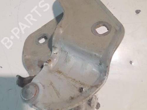 Hinge/Door check strap RENAULT CLIO III (BR0/1, CR0/1) 1.5 dCi (C/BR0G, C/BR1G) | BP21721658C146 