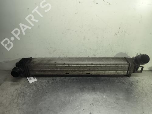 Intercooler RENAULT SCÉNIC III (JZ0/1_) 1.5 dCi | BP29422511M30 