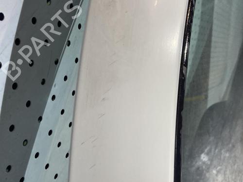 Left front door FIAT DOBLO Box Body/MPV (223_) 1.3 D Multijet | BP21701539C2 