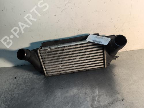 Intercooler FORD FIESTA VI (CB1, CCN) 1.0 EcoBoost (100 hp) 30491585