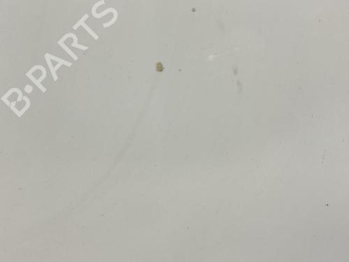 Hood RENAULT CLIO III (BR0/1, CR0/1) 1.5 dCi (BR17, CR17) | BP21697330C1 