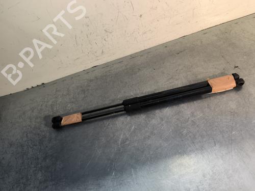 tailgate-lift-support-skoda-rapid-spaceback-nh1-2012-2013-2014-2015-2016-2017-2018-2019-29997519 main image