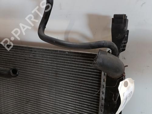 Used Water radiator Water radiator RENAULT KANGOO / GRAND KANGOO II (KW0/1_) 1.5 dCi 85 (KW0K, KW0L, KW0B) (86 hp) 24146627 24146627