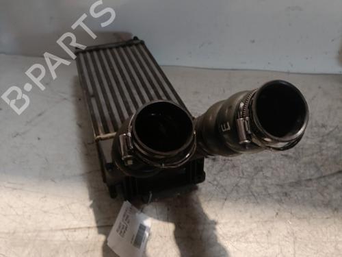 Used Intercooler Intercooler PEUGEOT PARTNER Tepee 1.6 HDi 16V (90 hp) 21709198 21709198