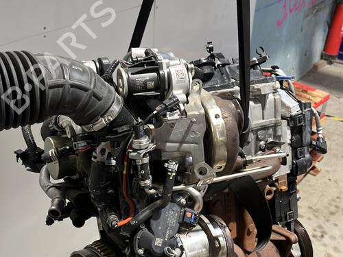 Engine RENAULT KADJAR (HA_, HL_) 1.5 BLUE dCi 115 (HLA6) | BP29732951M1 