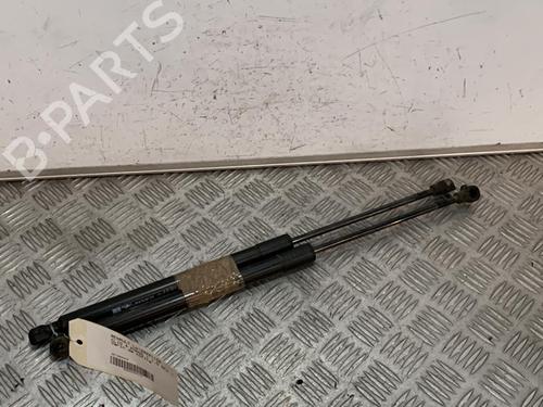 Tailgate lift support RENAULT CLIO IV (BH_) 1.5 dCi 90 | BP21722614C138 