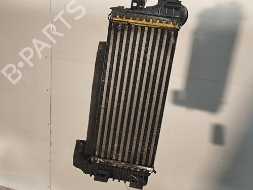 Used Intercooler Intercooler FORD FOCUS III Saloon [2010-2020] 36015012 36015012