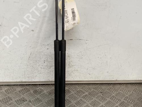 Tailgate lift support AUDI A4 B7 Avant (8ED) 2.0 TDI 16V | BP29384455C138 