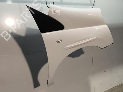 Right front fenders CITROËN JUMPY II Van 2.0 HDi 120 | BP29733494C42 
