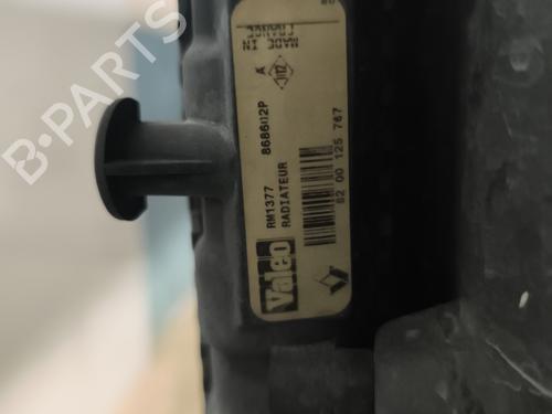 Used Water radiator Water radiator RENAULT CLIO II (BB_, CB_) 1.2 16V (BB05, BB0W, BB11, BB27, BB2T, BB2U, BB2V, CB05,... (75 hp) 32445389 32445389